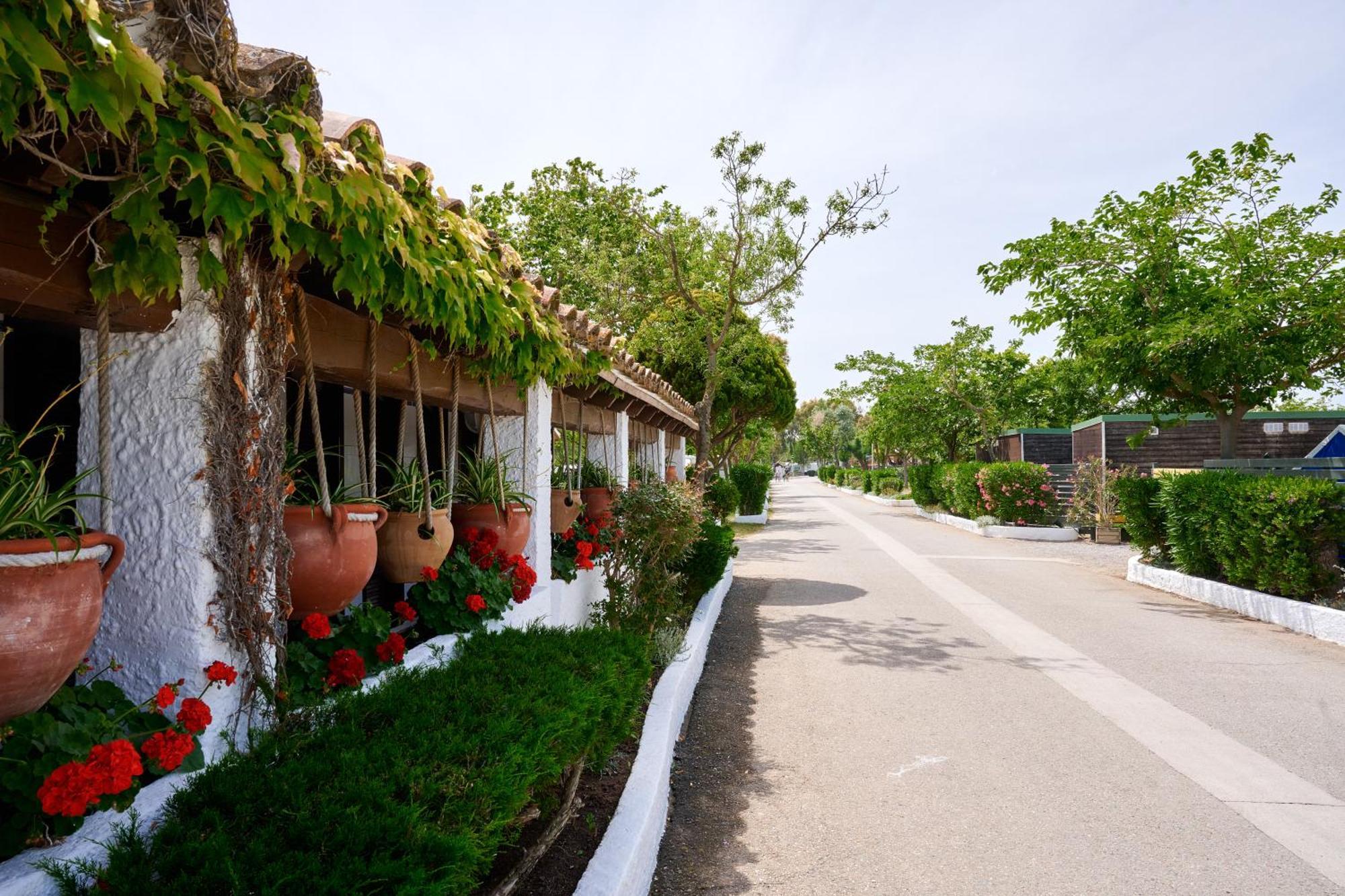 Hotel Glamping Costa Brava Fortià Exterior foto